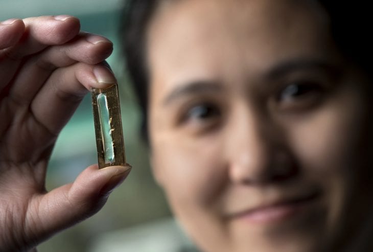 UCI chemist Reginald Penner and doctoral student Mya Le Thai, shown, have developed a nanowire-based battery technology that allows lithium ion batteries to be recharged hundreds of thousands of times. Steve Zylius/UCI