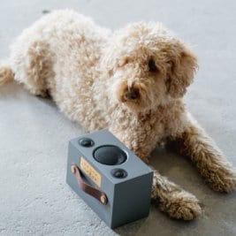 רמקול C3 של אודיו פרו, כלב